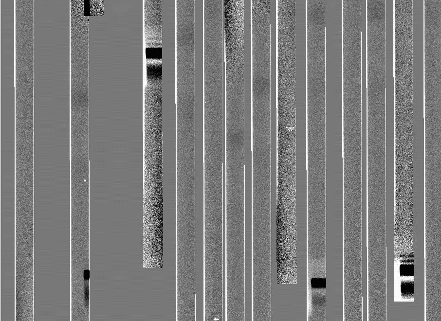 ccd_flat.gif