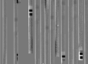 ccd_flat.gif